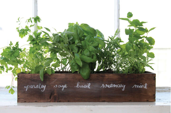 How To Grow Herbs On A Windowsill
