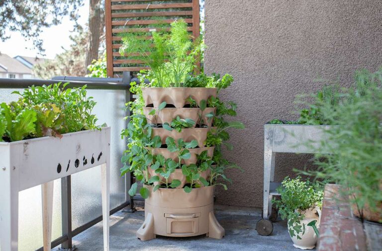 How To Grow Vegetables In Small Spaces