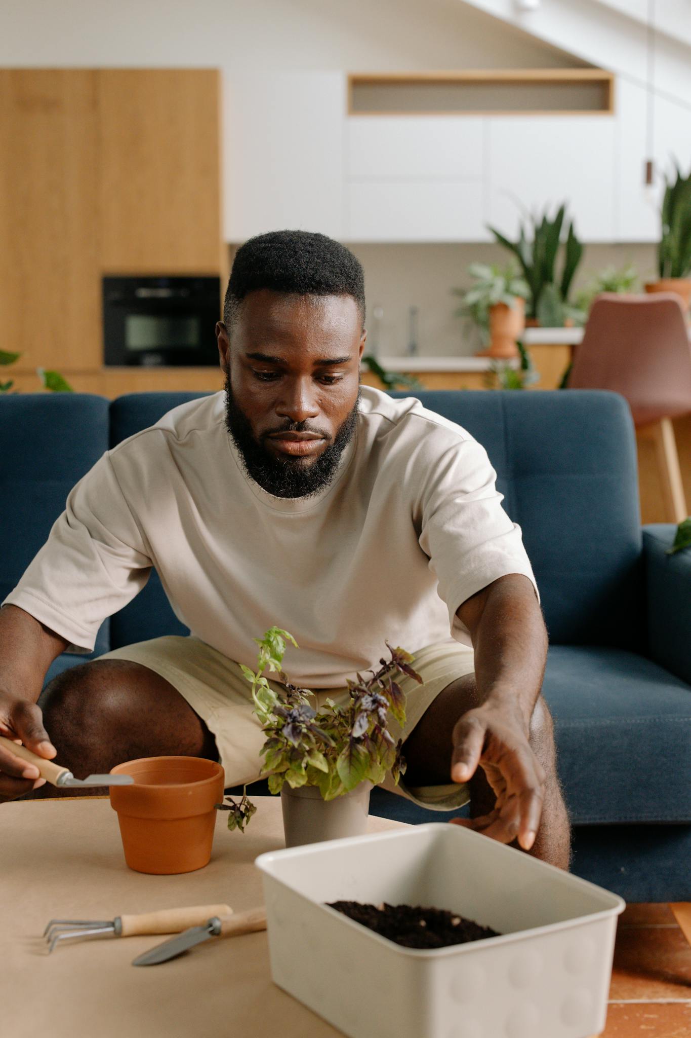 Adult man planting a small herb in a clay pot indoors, showcasing urban gardening.