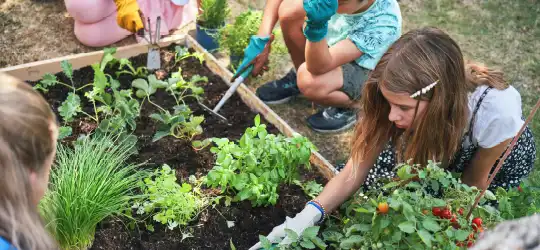 How To Build Confidence In Gardening