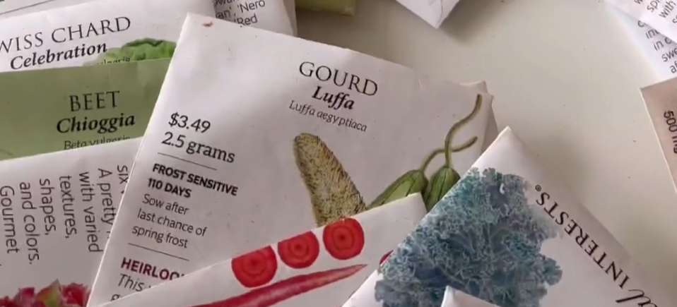 How To Avoid Common Beginner Gardening Mistakes