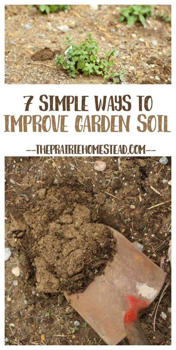 How To Improve Poor Garden Soil Naturally
