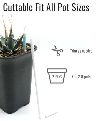 Best Moisture Meter For Bonsai