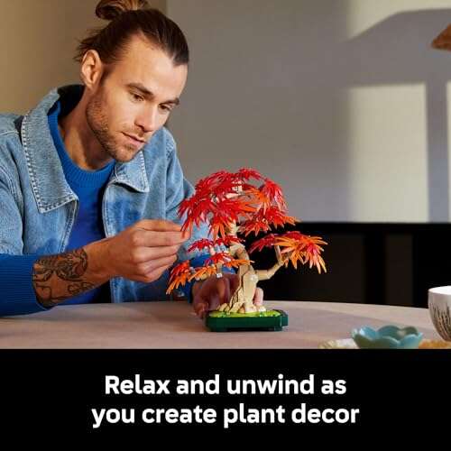 Best Japanese Maple For Bonsai
