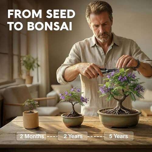 Best Bonsai Trees For Beginners