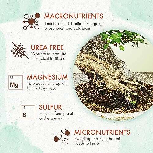Best Fertilizer For Bonsai Trees