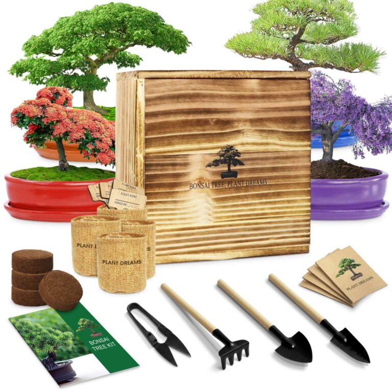 How To Plant A Bonsai Tree