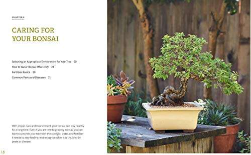 Best Book For Bonsai Beginners