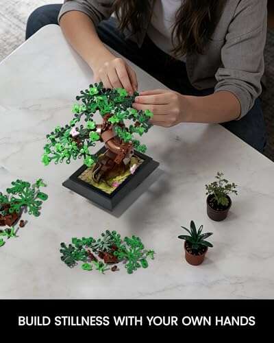SHAREHB Bonsai Tree Building Blocks Sets Review