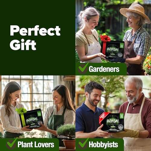 Home Grown Bonsai Tree Kit Gifts Review