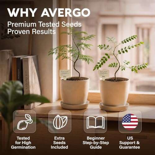 Bonsai Starter Kit 2X Bonsai Tree Review