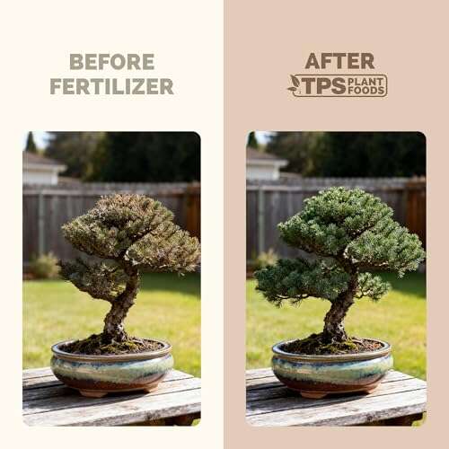 Best Liquid Fertilizer For Bonsai