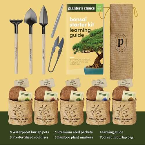 Planter's Choice Bonsai Tree Starter Kit Review
