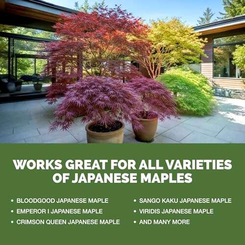 Best Fertilizer For Japanese Maple Bonsai