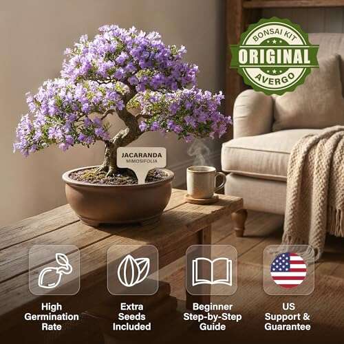 Bonsai Starter Kit – Growing Jacaranda Bonzai Tree Review