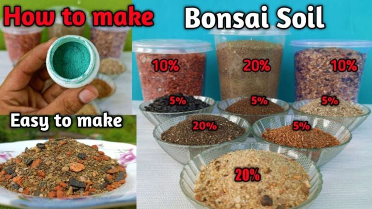 How To Make Bonsai Soil