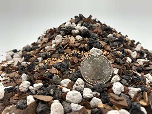 Best Soil For Pine Bonsai