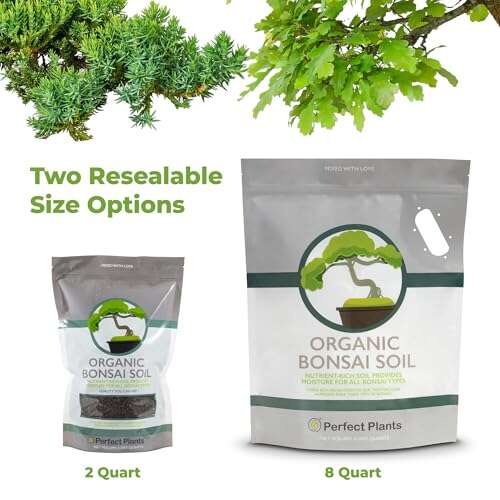 Best Soil For Bonsai Seeds
