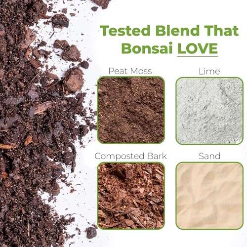 Best Soil For Bonsai Seedlings