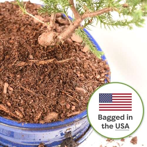 Best Soil For Ficus Ginseng Bonsai