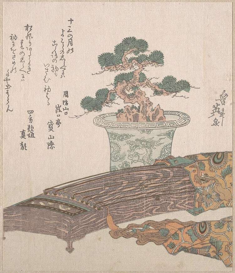 Where Did Bonsai Trees Originate