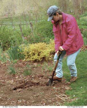 What Do I Need To Dig A Flower Bed