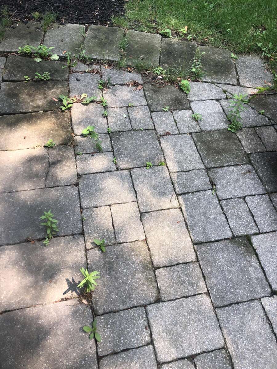 How To Remove Weeds From Between Patio Stones