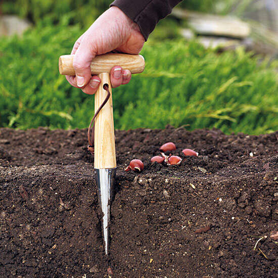 Do I Need A Bulb Planter