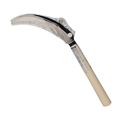 Best Tool For Cutting Back Ornamental Grasses