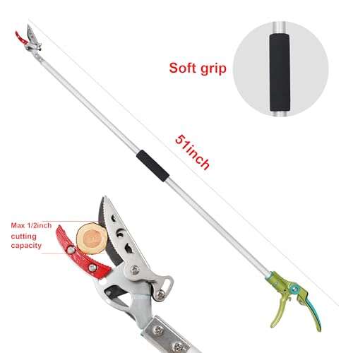 Best Hand Pruners For Fruit Trees