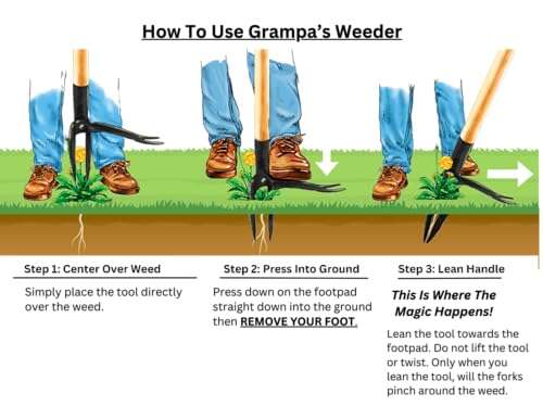 Best Tool For Digging Up Grass