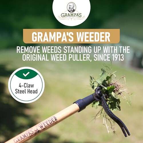 Best Tool For Digging Up Crabgrass