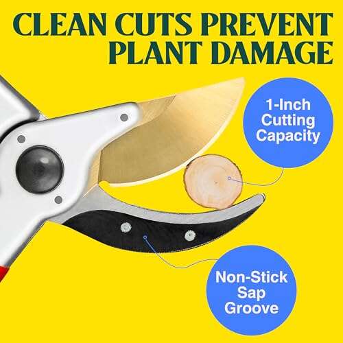 Best Bypass Pruner For People With Arthritis