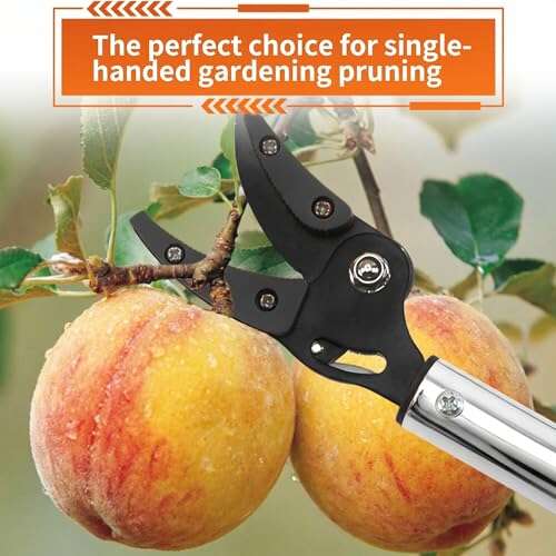 Best Tool For Trimming Lots Of Branches