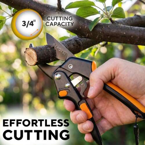 Best Pruning Shears For Weak Hands