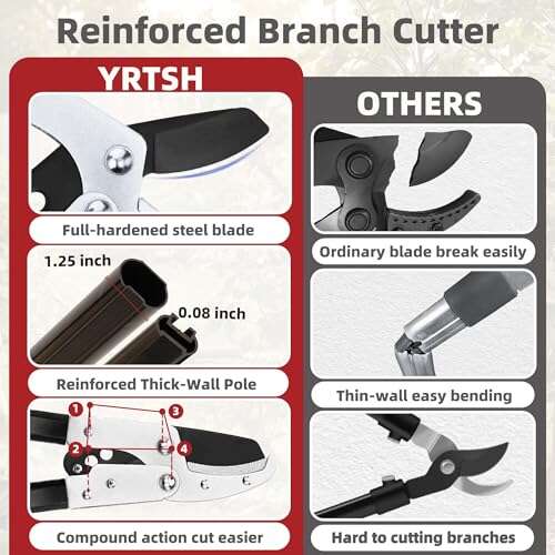 Best Tool For Cutting High Branches