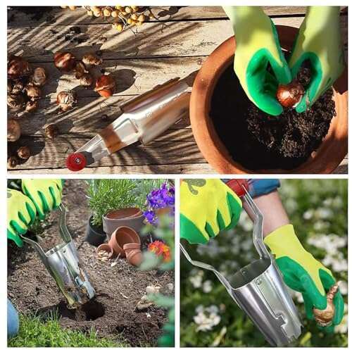 Best Tool For Planting Tulip Bulbs