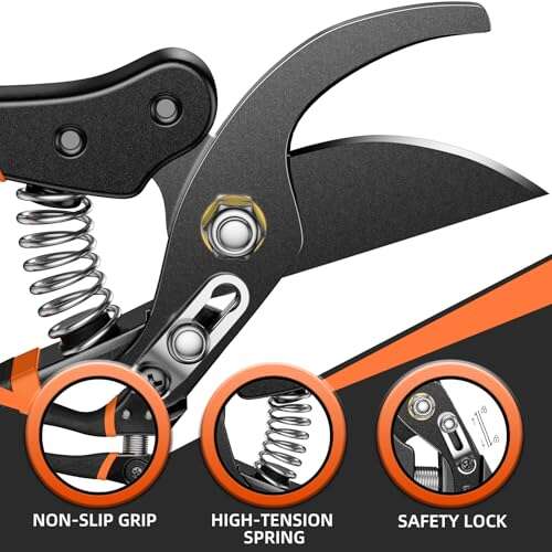 Best Pruning Shears For Tree Branches