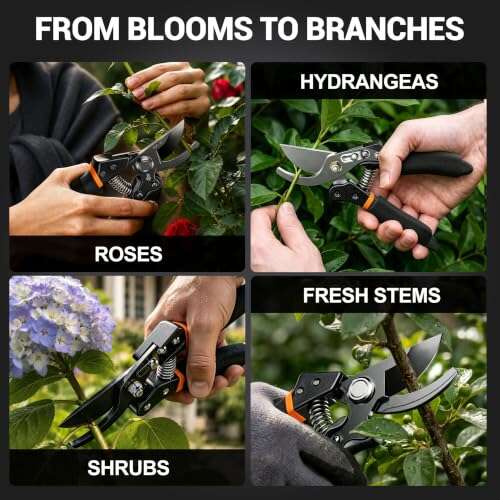 Best Pruning Shears For Small Arthritic Hands
