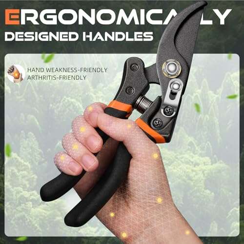 Best Pruning Shears For Mesquite Trees