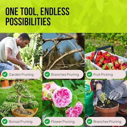 Best Pruning Shears For Indoor Plants