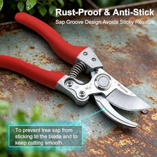 Best Hand Pruner For Large Limbs