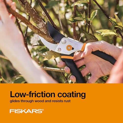 Best Pruning Shears For The Money