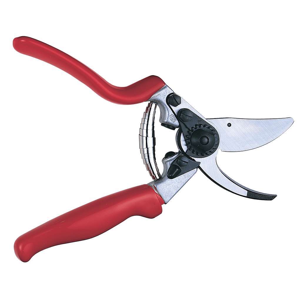 What Tool Is Used For Pruning