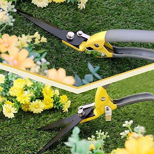 Best Hand Tool For Cutting Grass