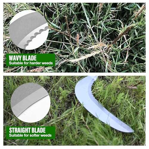 Best Tools For Clearing Overgrown Garden
