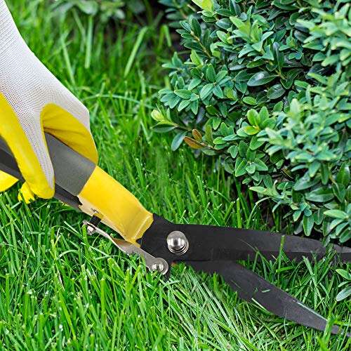 Best Grass Cutter For Small Lawns
