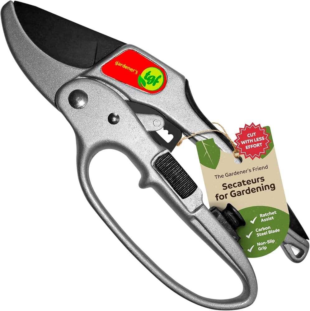 Are Pruners The Same As Secateurs