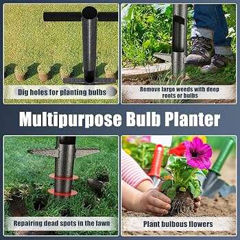 How To Dig Holes For Bulbs