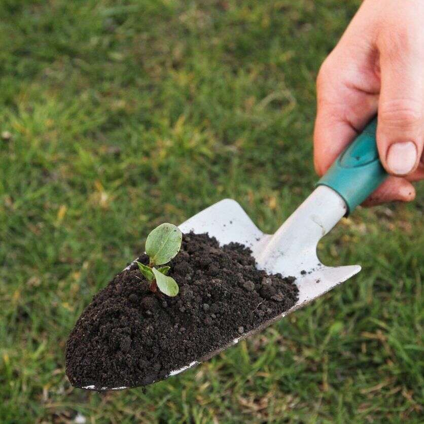 What Is The Meaning Of Garden Trowel